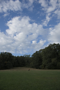 20250917_Dog Park__DSC0062_.jpg