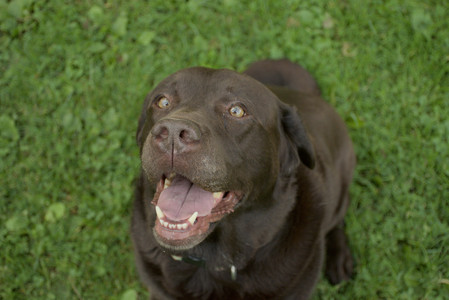 20250917_Dog Park__DSC0066_.jpg