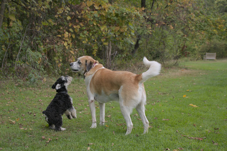 20250917_Dog Park__DSC0071_.jpg