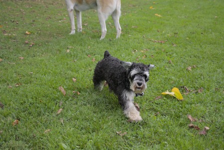 20250917_Dog Park__DSC0074_.jpg