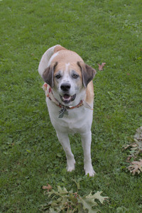 20250917_Dog Park__DSC0076_.jpg