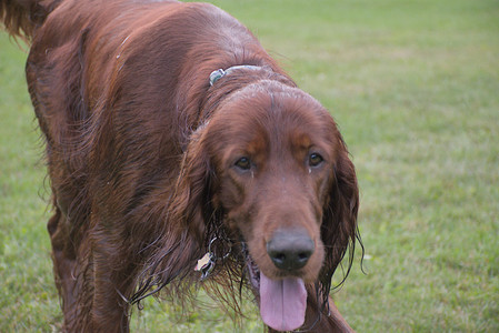 20250917_Dog Park__DSC0099_.jpg