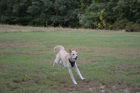20250917_Dog Park__DSC0101_.jpg