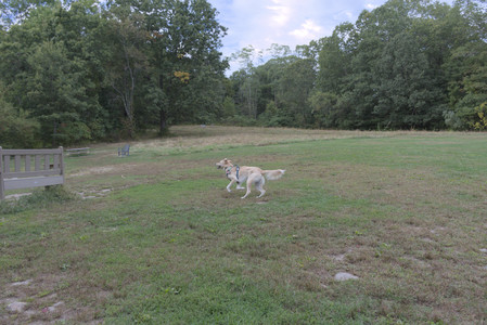 20250917_Dog Park__DSC0111_.jpg