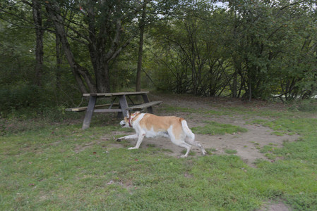 20250917_Dog Park__DSC0113_.jpg