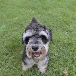 20250917_Dog Park__DSC0124_.jpg