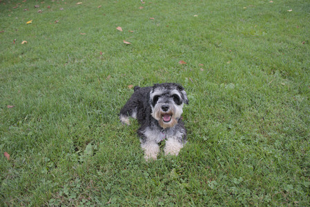 20250917_Dog Park__DSC0125_.jpg