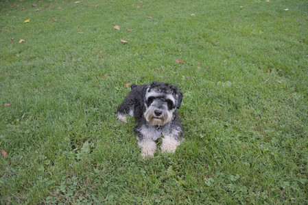 20250917_Dog Park__DSC0126_.jpg