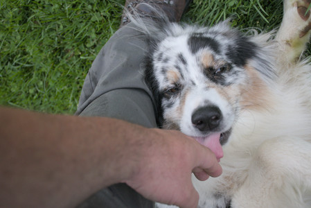 20250917_Dog Park__DSC0139_.jpg