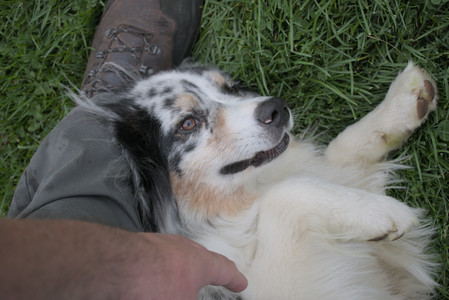 20250917_Dog Park__DSC0140_.jpg