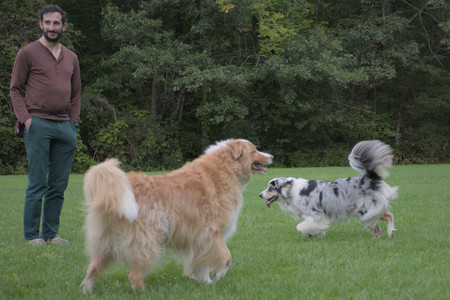 20250917_Dog Park__DSC0148_.jpg