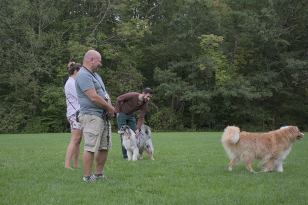 20250917_Dog Park__DSC0150_.jpg
