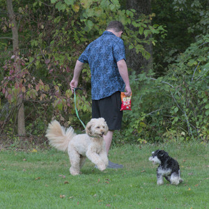 20250917_Dog Park__DSC0154_.jpg