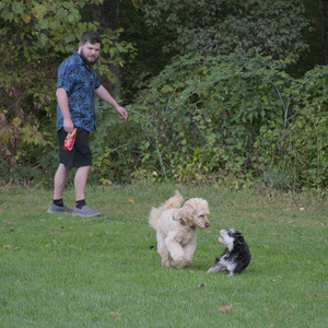 20250917_Dog Park__DSC0155_.jpg