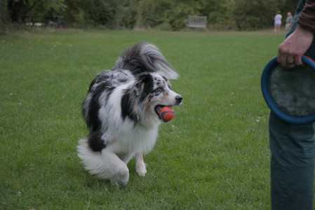 20250917_Dog Park__DSC0158_.jpg