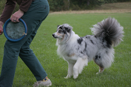 20250917_Dog Park__DSC0159_.jpg