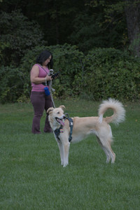 20250917_Dog Park__DSC0165_.jpg