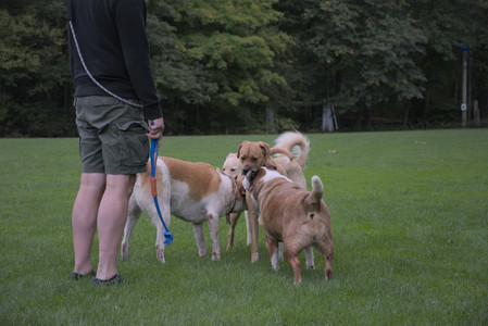 20250917_Dog Park__DSC0172_.jpg