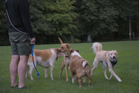 20250917_Dog Park__DSC0175_.jpg