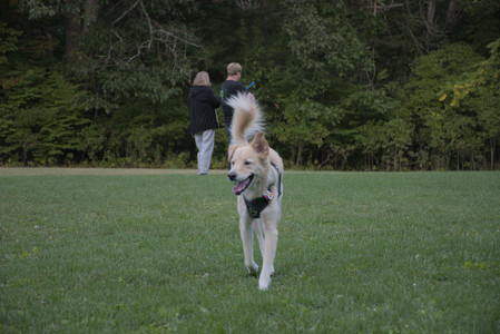 20250917_Dog Park__DSC0181_.jpg