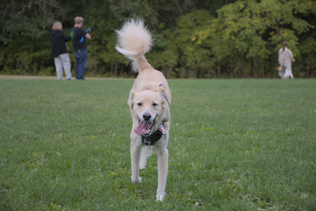 20250917_Dog Park__DSC0183_.jpg