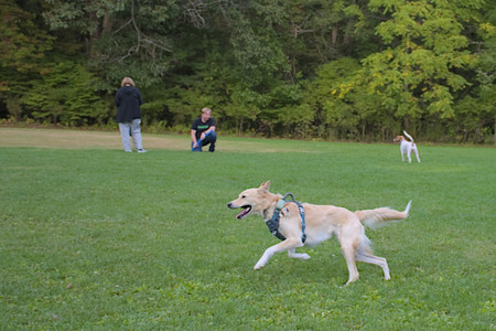 20250917_Dog Park__DSC0190_.jpg