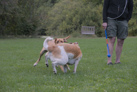 20250917_Dog Park__DSC0210_.jpg
