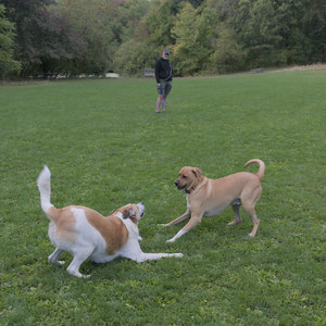 20250917_Dog Park__DSC0228_.jpg