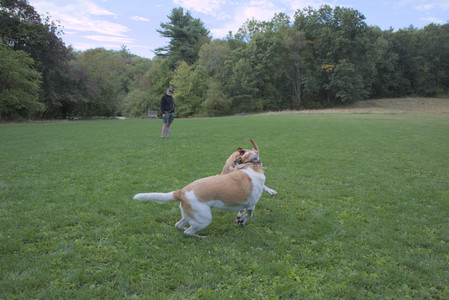 20250917_Dog Park__DSC0229_.jpg