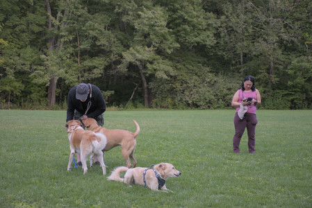 20250917_Dog Park__DSC0273_.jpg