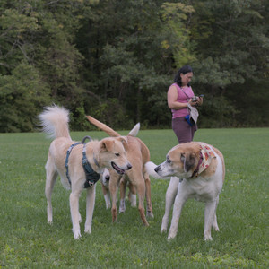 20250917_Dog Park__DSC0282_.jpg