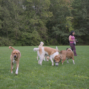 20250917_Dog Park__DSC0285_.jpg