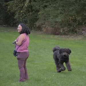 20250917_Dog Park__DSC0288_.jpg