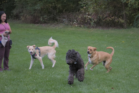 20250917_Dog Park__DSC0294_.jpg