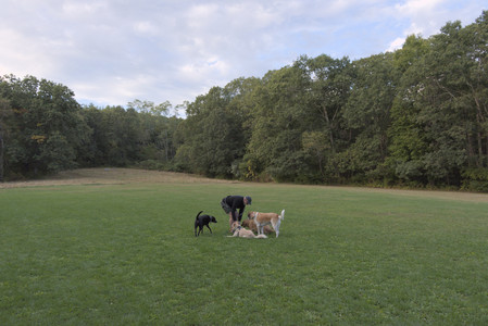 20250917_Dog Park__DSC0330_0.jpg
