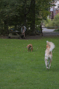 20250917_Dog Park__DSC0349_.jpg