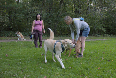 20250917_Dog Park__DSC0351_.jpg