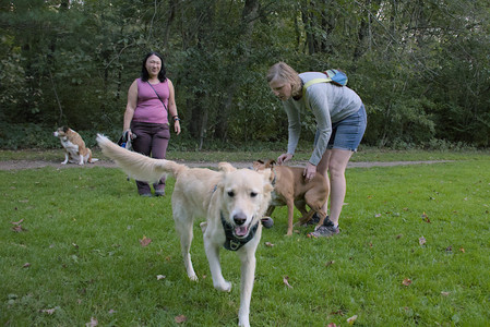 20250917_Dog Park__DSC0352_.jpg