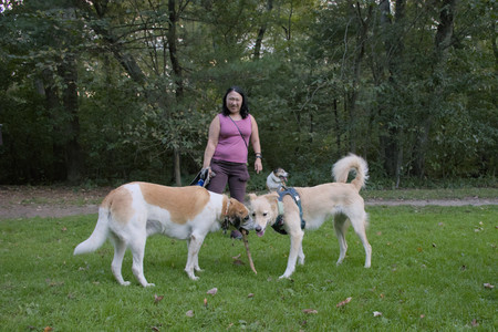 20250917_Dog Park__DSC0357_.jpg