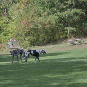 20250921_Thisbe and Dog Park__DSC0035_.jpg