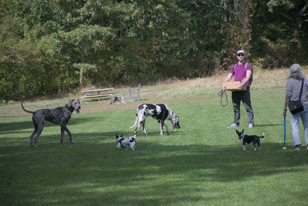 20250921_Thisbe and Dog Park__DSC0037_.jpg