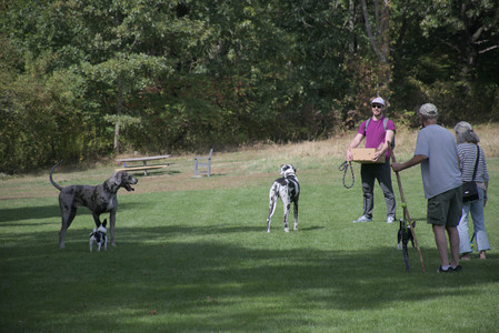 20250921_Thisbe and Dog Park__DSC0038_.jpg