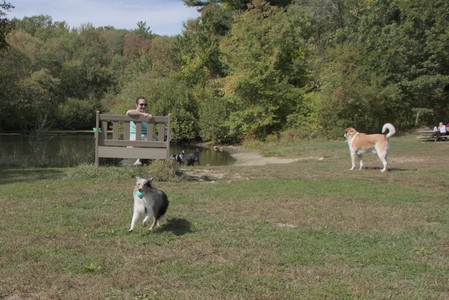 20250921_Thisbe and Dog Park__DSC0051_.jpg