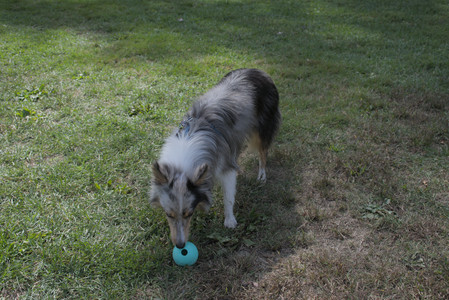 20250921_Thisbe and Dog Park__DSC0054_.jpg