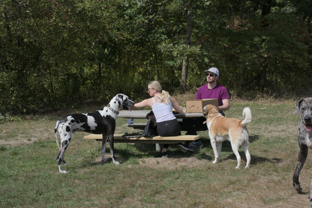 20250921_Thisbe and Dog Park__DSC0062_.jpg