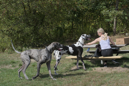 20250921_Thisbe and Dog Park__DSC0065_.jpg