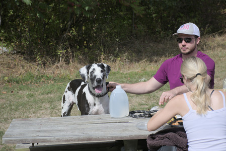 20250921_Thisbe and Dog Park__DSC0076_.jpg