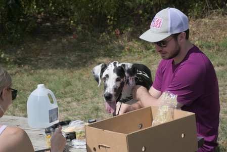 20250921_Thisbe and Dog Park__DSC0079_.jpg