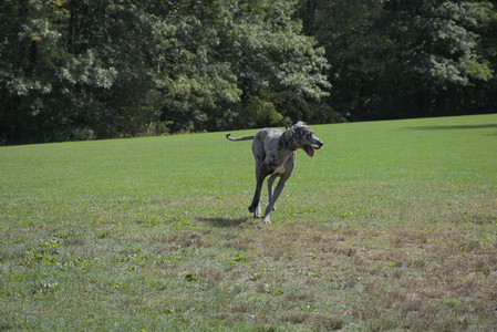 20250921_Thisbe and Dog Park__DSC0083_.jpg