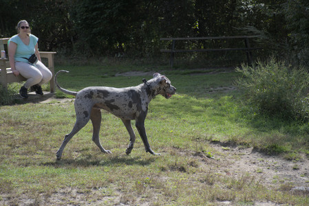 20250921_Thisbe and Dog Park__DSC0085_.jpg